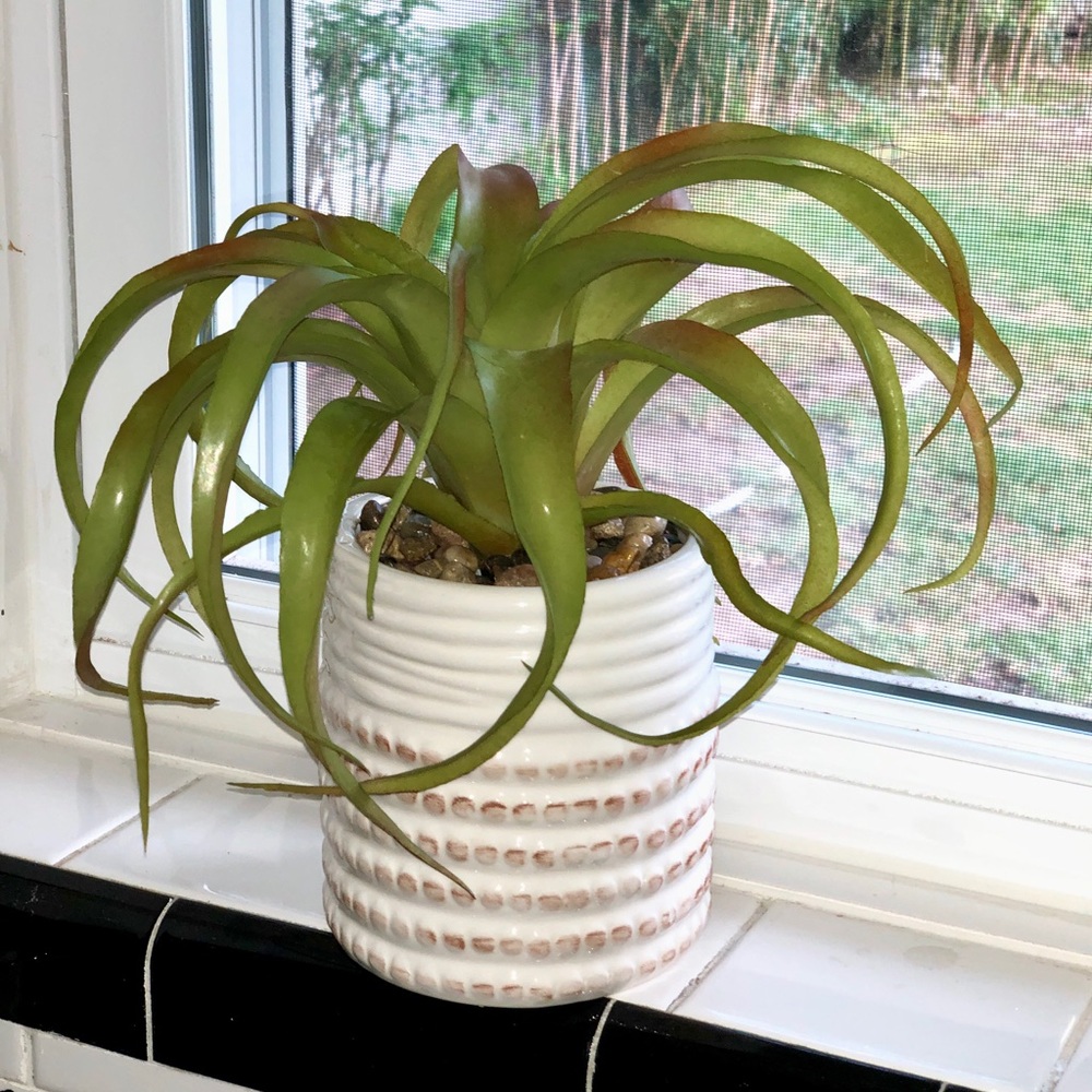 Faux Plant in Plantet